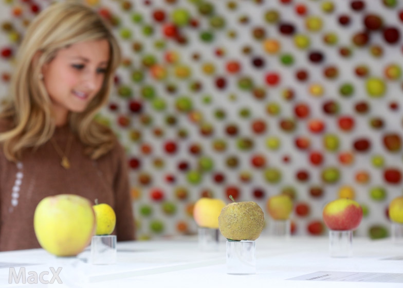 苹果公司支持加州的维修权法案,向消费者提供维修套件、手册等 苹果公司支持加州的维修权法案,向消费者提供维修套件、手册等