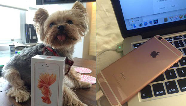 iPhone 17 Air定价899美元,高配低价苹果真良心 iPhone 17 Air定价899美元,高配低价苹果真良心