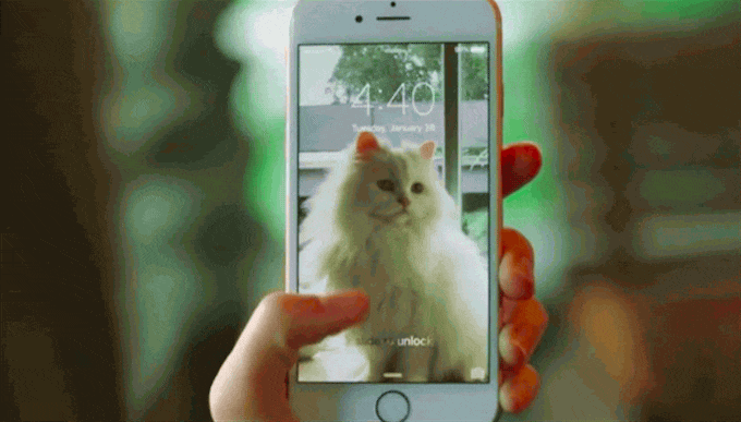 苹果希望在 Apple News+ 服务中加入音频内容 苹果希望在 Apple News+ 服务中加入音频内容