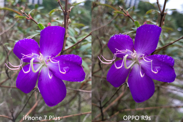 我曾嘲笑Apple Pencil 现在工作离不开它 我曾嘲笑Apple Pencil 现在工作离不开它