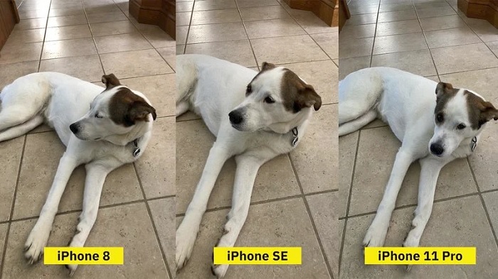 苹果iPhone XS Max 256GB版国美抢购价9999元 苹果iPhone XS Max 256GB版国美抢购价9999元