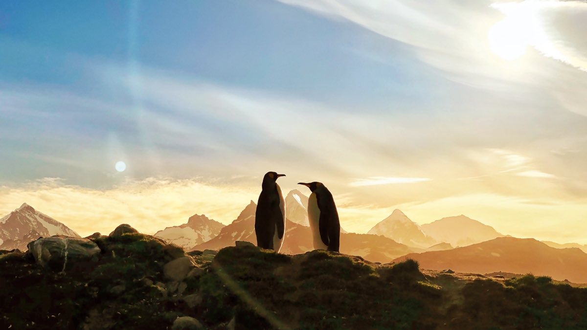 外媒分享 Cybertruck 为基础改装的 iPhone 11 Pro 上手图 外媒分享 Cybertruck 为基础改装的 iPhone 11 Pro 上手图