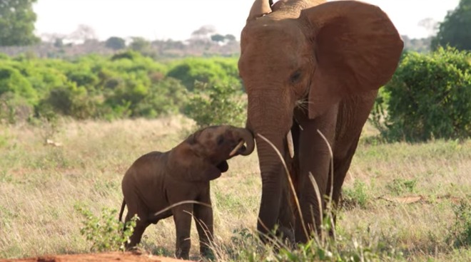 iPad Pro 支持 Wi-Fi 6 标准， MacBook Air 摄像头仍为 720p