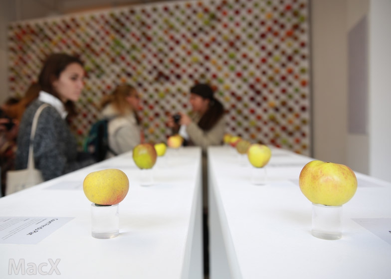 iOS 17 支持添加更多公交/银行卡,直至 iPhone 芯片空间占满 iOS 17 支持添加更多公交/银行卡,直至 iPhone 芯片空间占满