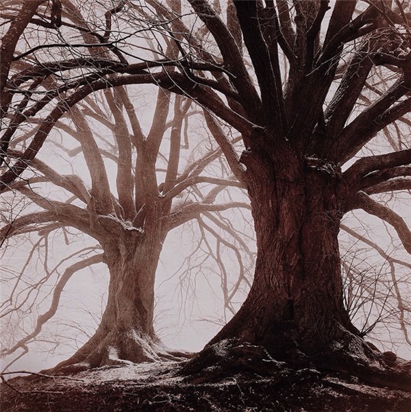 苹果iOS9.3.3开发者预览/公测版Beta3推送 苹果iOS9.3.3开发者预览/公测版Beta3推送