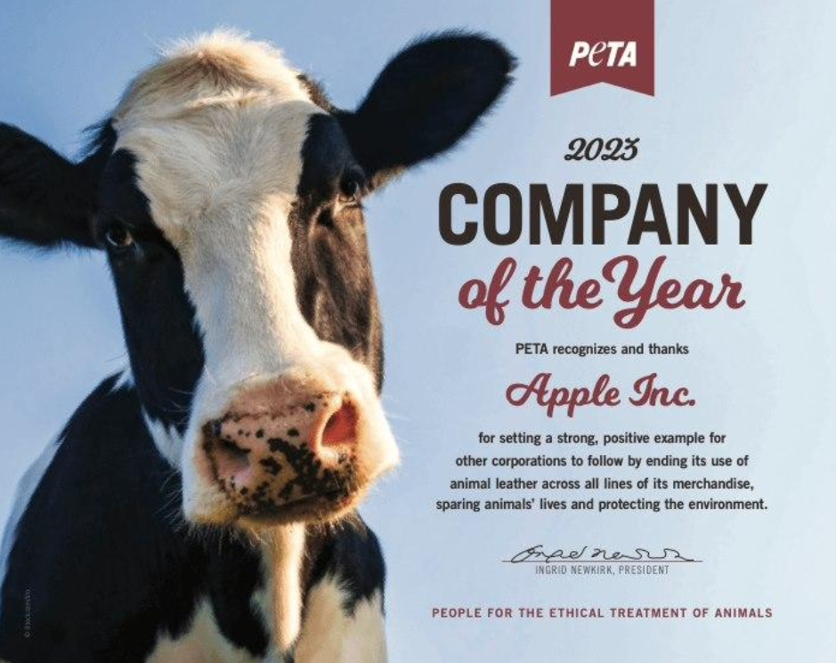 气活乔布斯!iOS独享应用将能在安卓上运行 气活乔布斯!iOS独享应用将能在安卓上运行