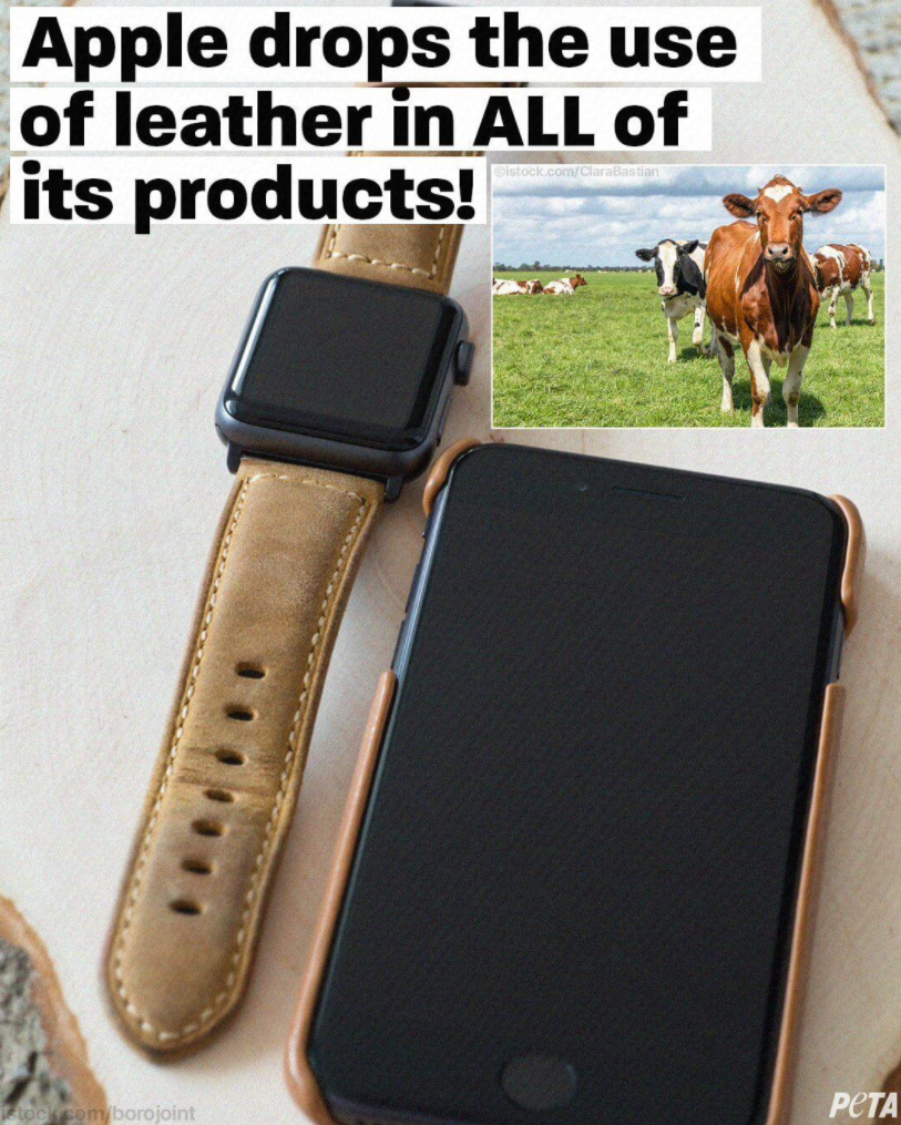 苹果前零售主管阿伦茨找到新工作：加入 Airbnb 董事会