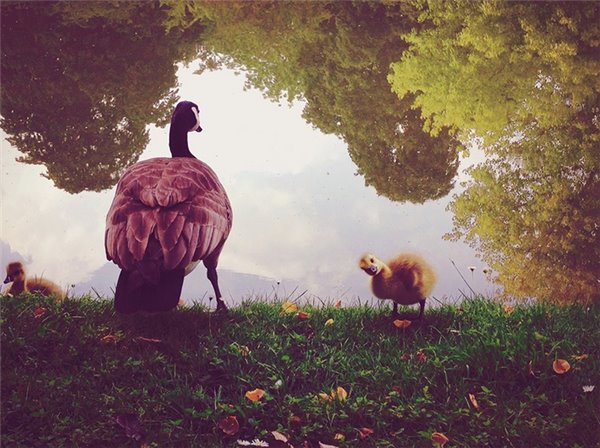 曼哈顿DA：证据室现在还有近400台iPhone没破解