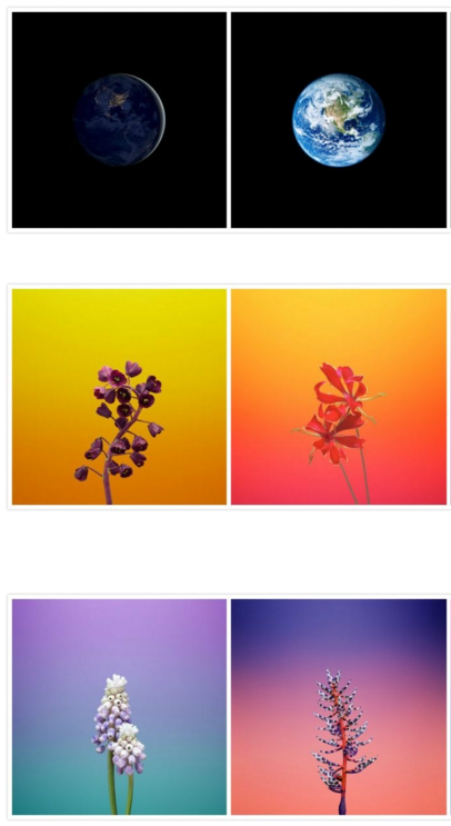 Casetify 推出宝可梦系列 iPhone 配件 Casetify 推出宝可梦系列 iPhone 配件