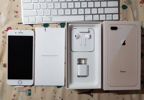 苹果开发者工具 TestFlight iOS 版更新：新增中文支持