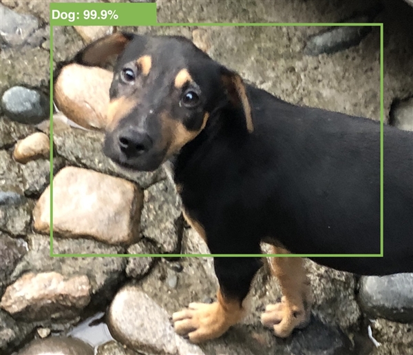 苹果官网宣布:macOS 12 Monterey/iPadOS 15 通用控制推迟到明年春季发布 苹果官网宣布:macOS 12 Monterey/iPadOS 15 通用控制推迟到明年春季发布