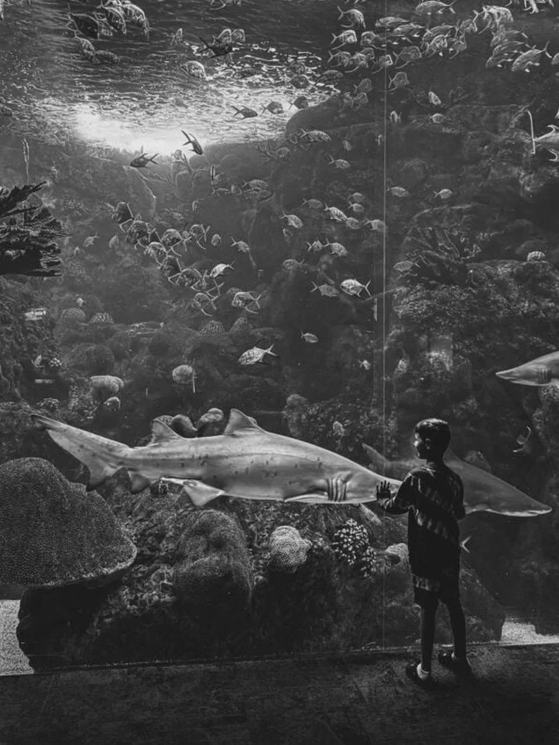 郭明錤:京东方为苹果 Mini LED 面板新供货商 郭明錤:京东方为苹果 Mini LED 面板新供货商