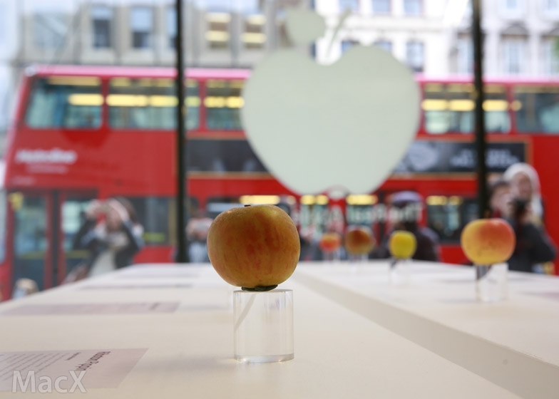 或因美国制裁,伊朗已无法使用苹果App Store 或因美国制裁,伊朗已无法使用苹果App Store