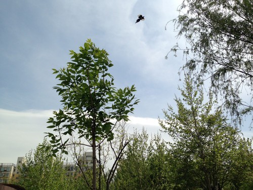 关机也能找到 苹果Find My iPhone将升级