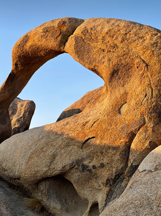 苹果旗下 Beats 品牌发布全新头戴式耳机 Solo Pro 苹果旗下 Beats 品牌发布全新头戴式耳机 Solo Pro